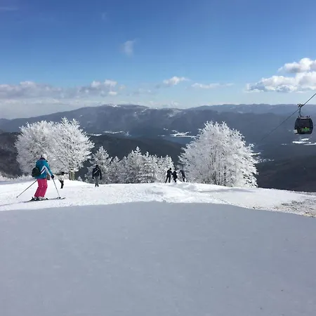 Natura La Terrazza Sul Cavaliere (Cosenza)